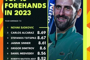 华体会网址-包含欧洲网球队力克美国网球队，德约科维奇完成帽子戏法的词条