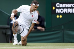 华体会官网-包含西班牙网球队完胜意大利网球队，费德勒打破历史纪录的词条